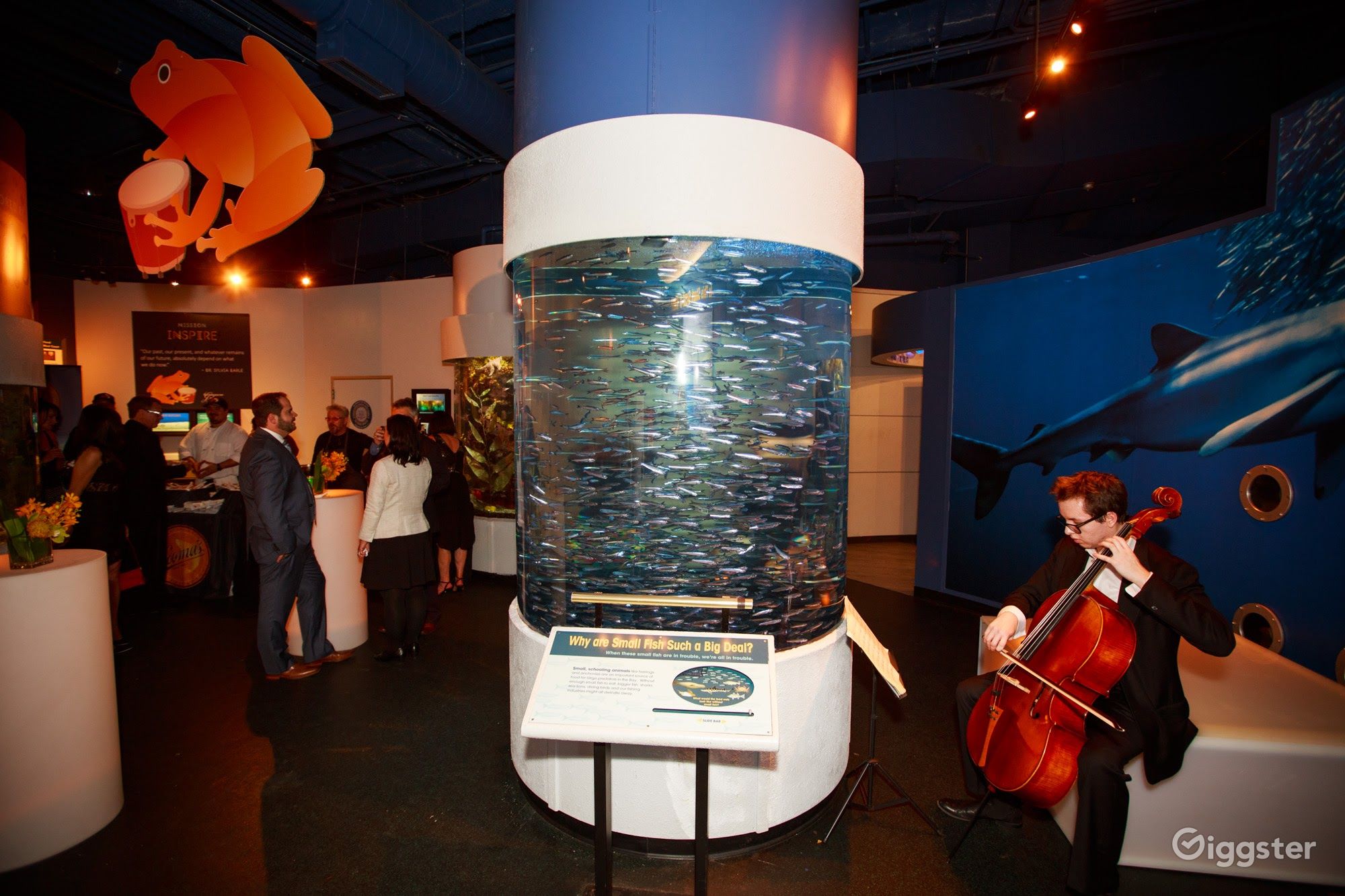 Full Aquarium Buyout Rent this location on Giggster