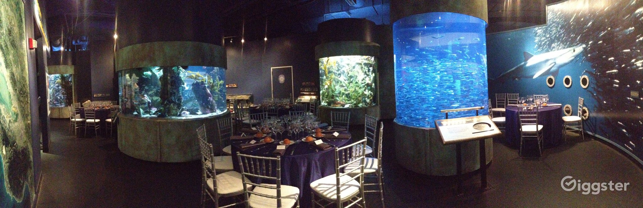 Full Aquarium Buyout Rent this location on Giggster