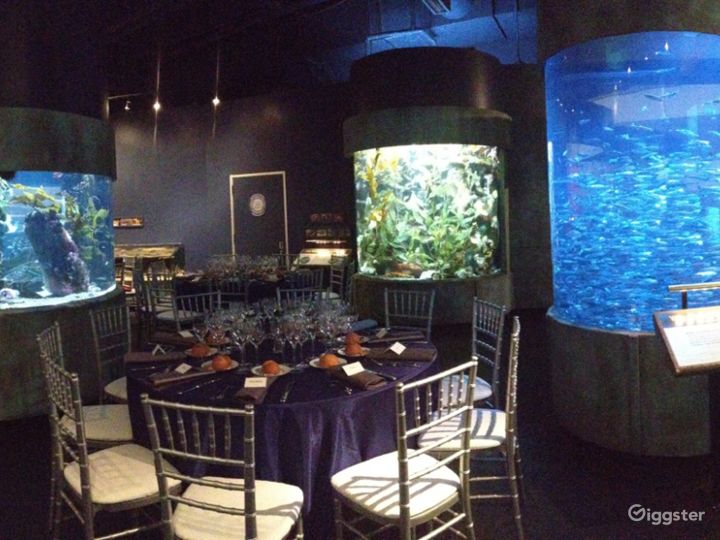 Full Aquarium Buyout Rent this location on Giggster