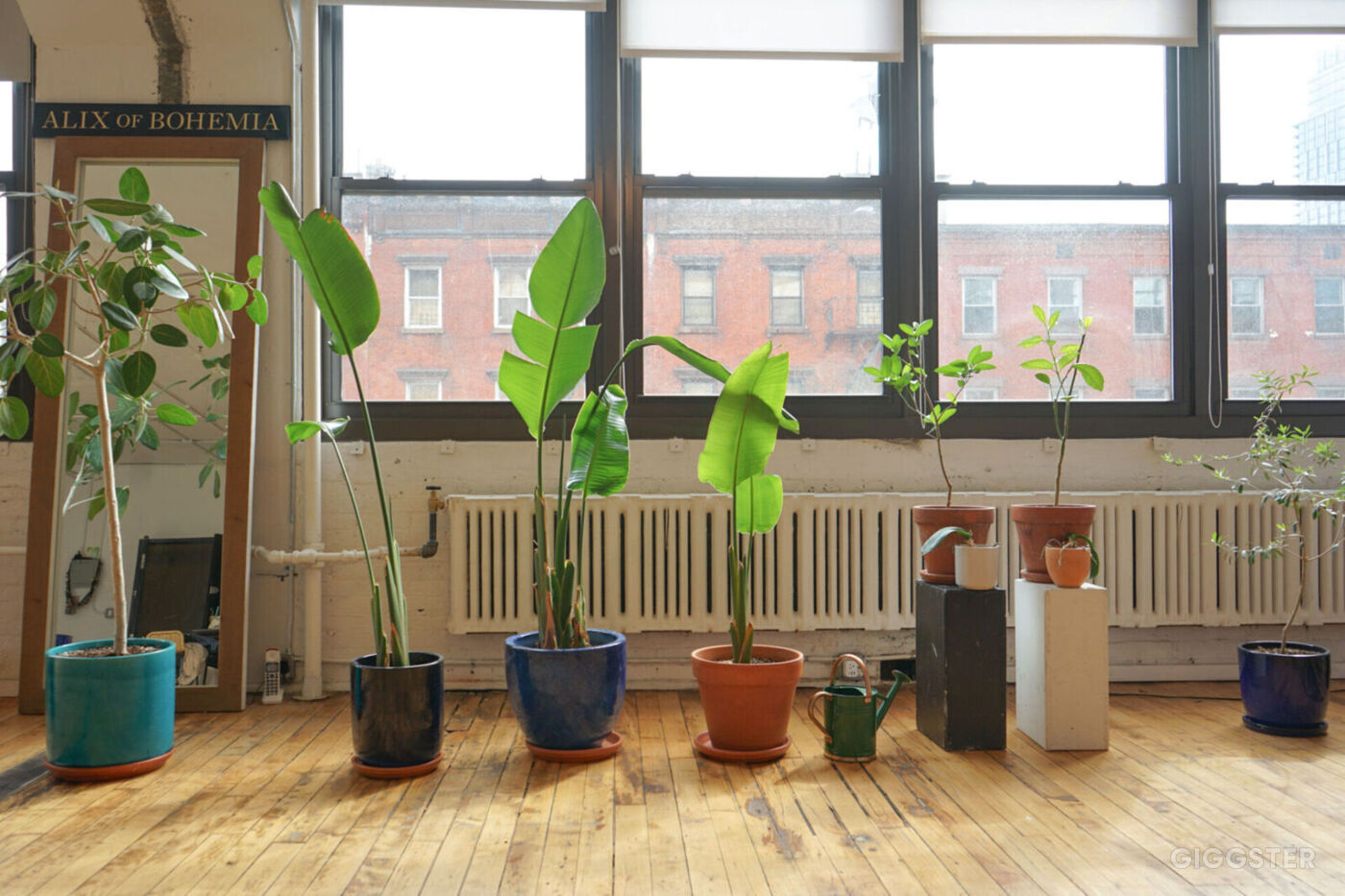 Bohemian Brooklyn Studio in Heart of Greenpoint Rent this location on