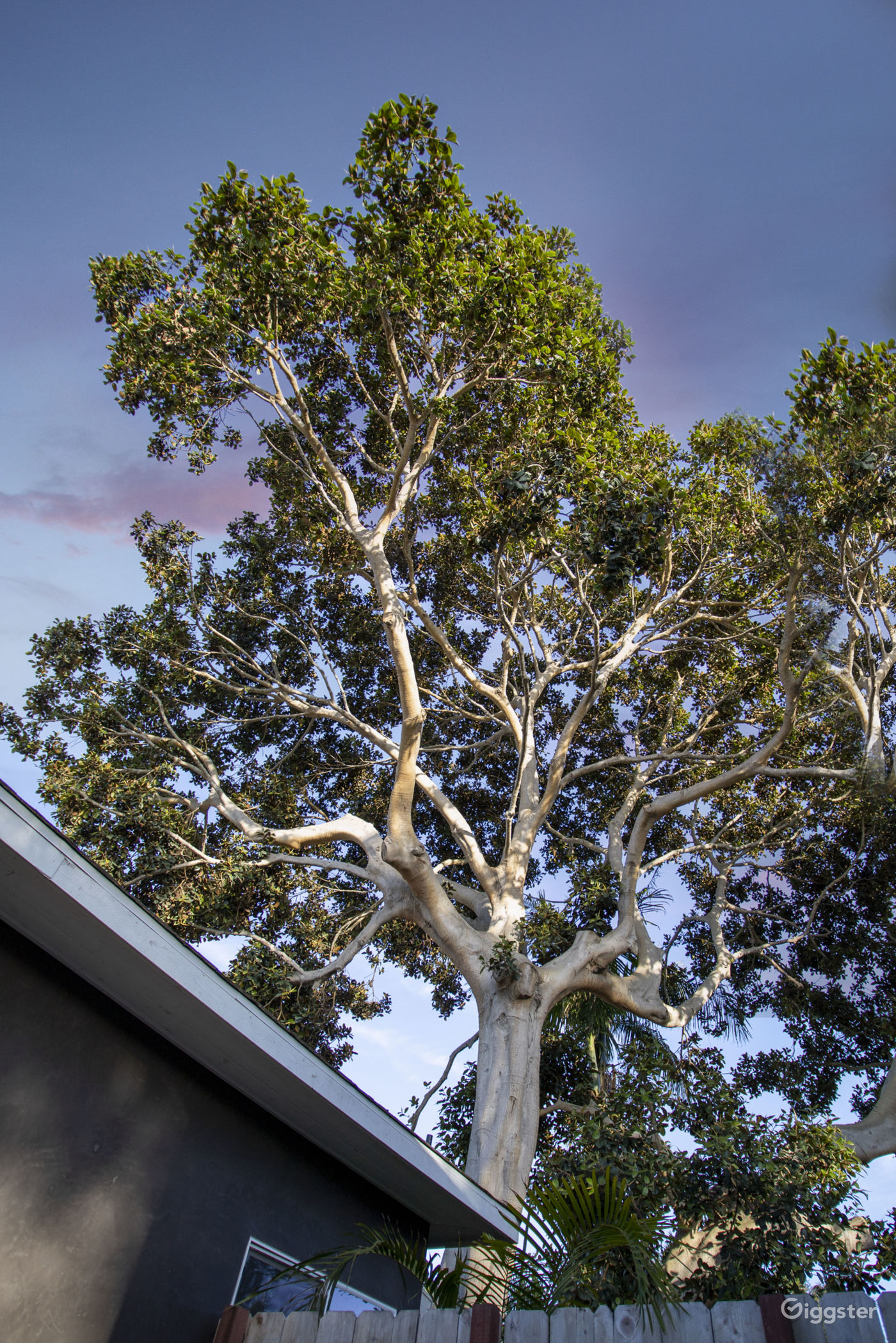 Luxury Leucadia Beach House Rent this location on Giggster