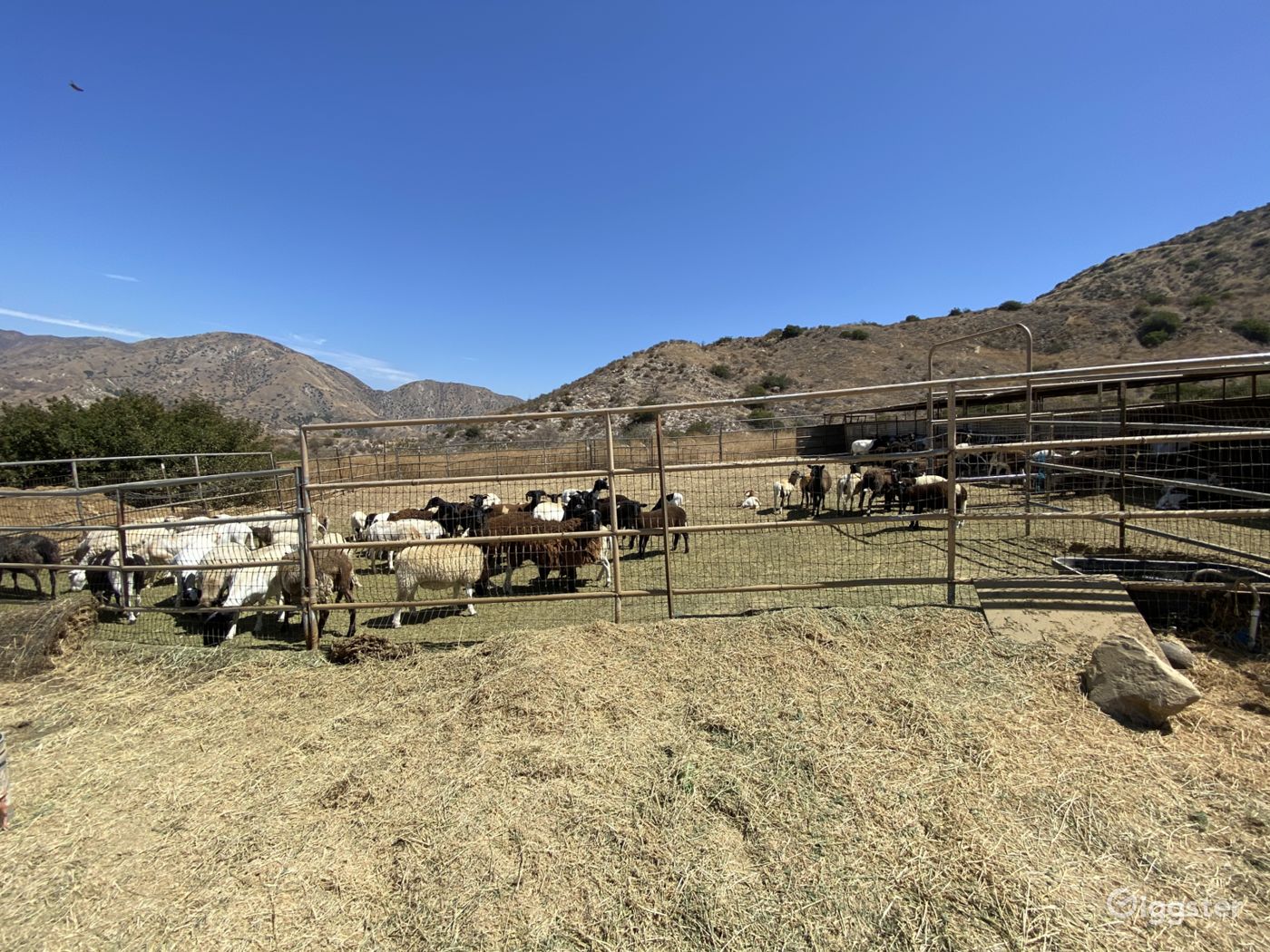 Mountain Ranch Home on 100 Acres Rent this location on Giggster