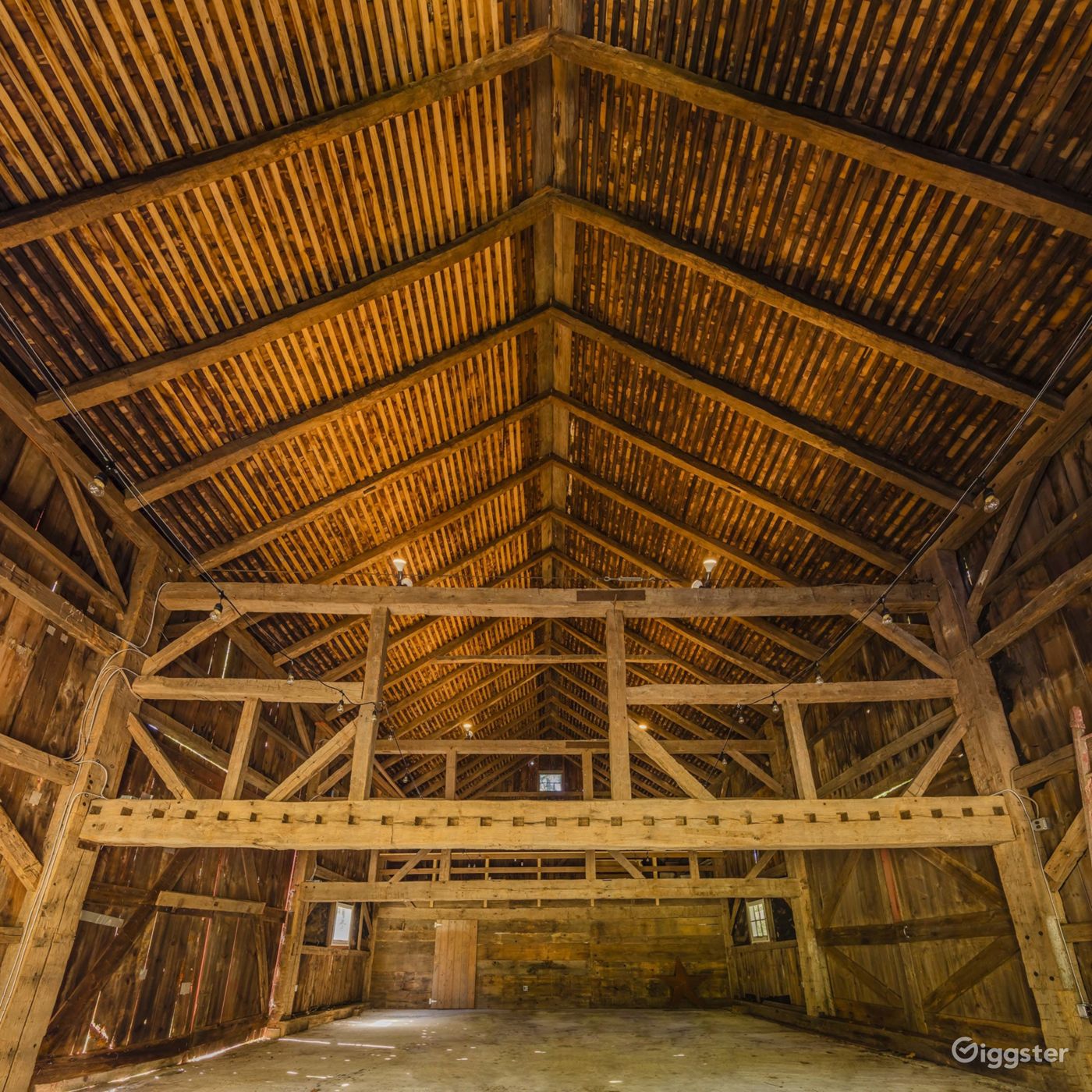 Gender reveal near me