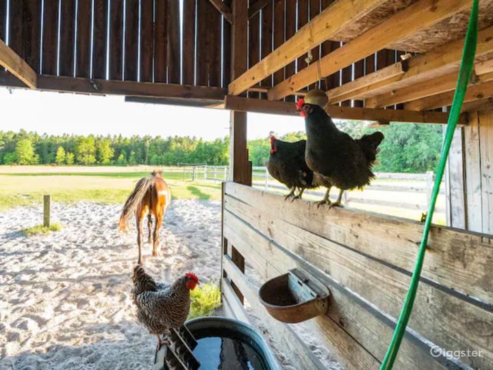 Nature lover Eco shipping Container Cabin on Farm Photo 5