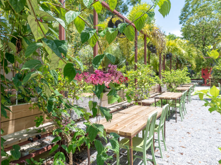 Lemon Grove at Miami Rent this location on Giggster