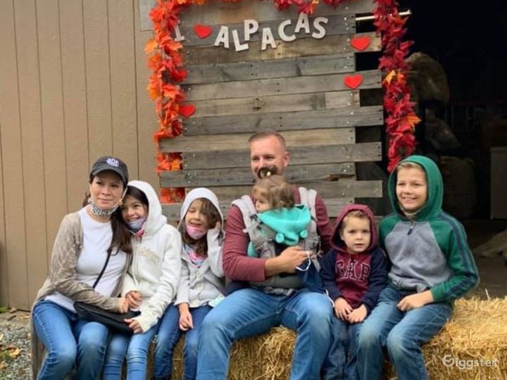 Beautiful Alpaca Farm And Camping Site In Yelm 1 Rent this location