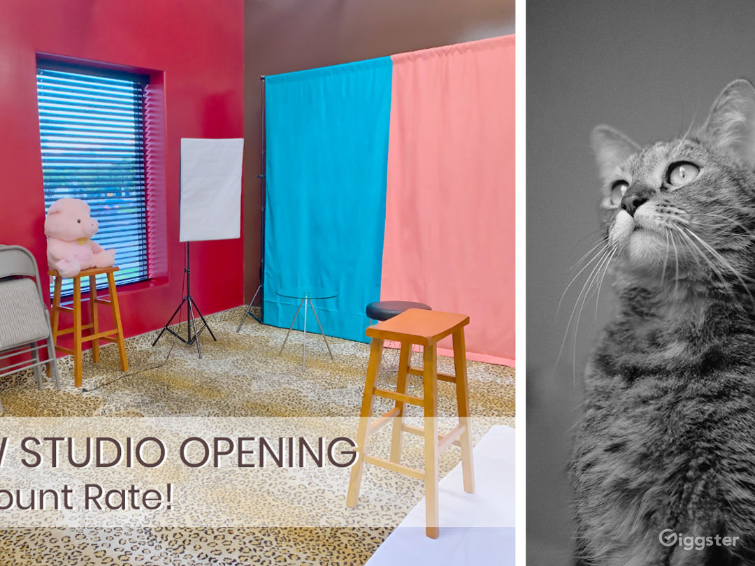  Creative & Cozy Photography Studio 