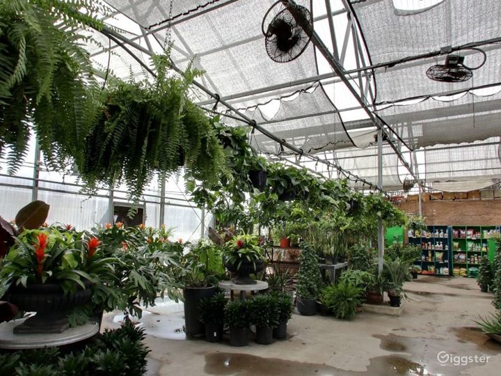 Greenhouses with selection of tropical plants Rent this location on
