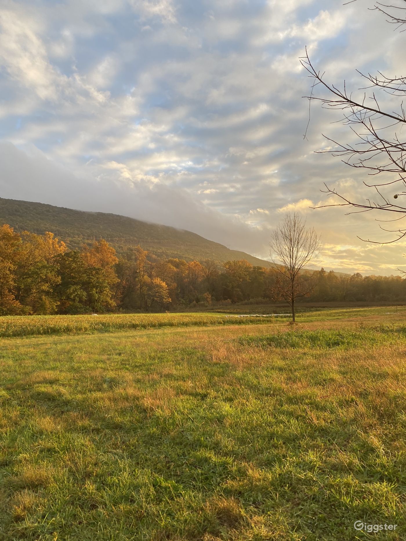 The Farm at Catawissa Creek Rent this location on Giggster