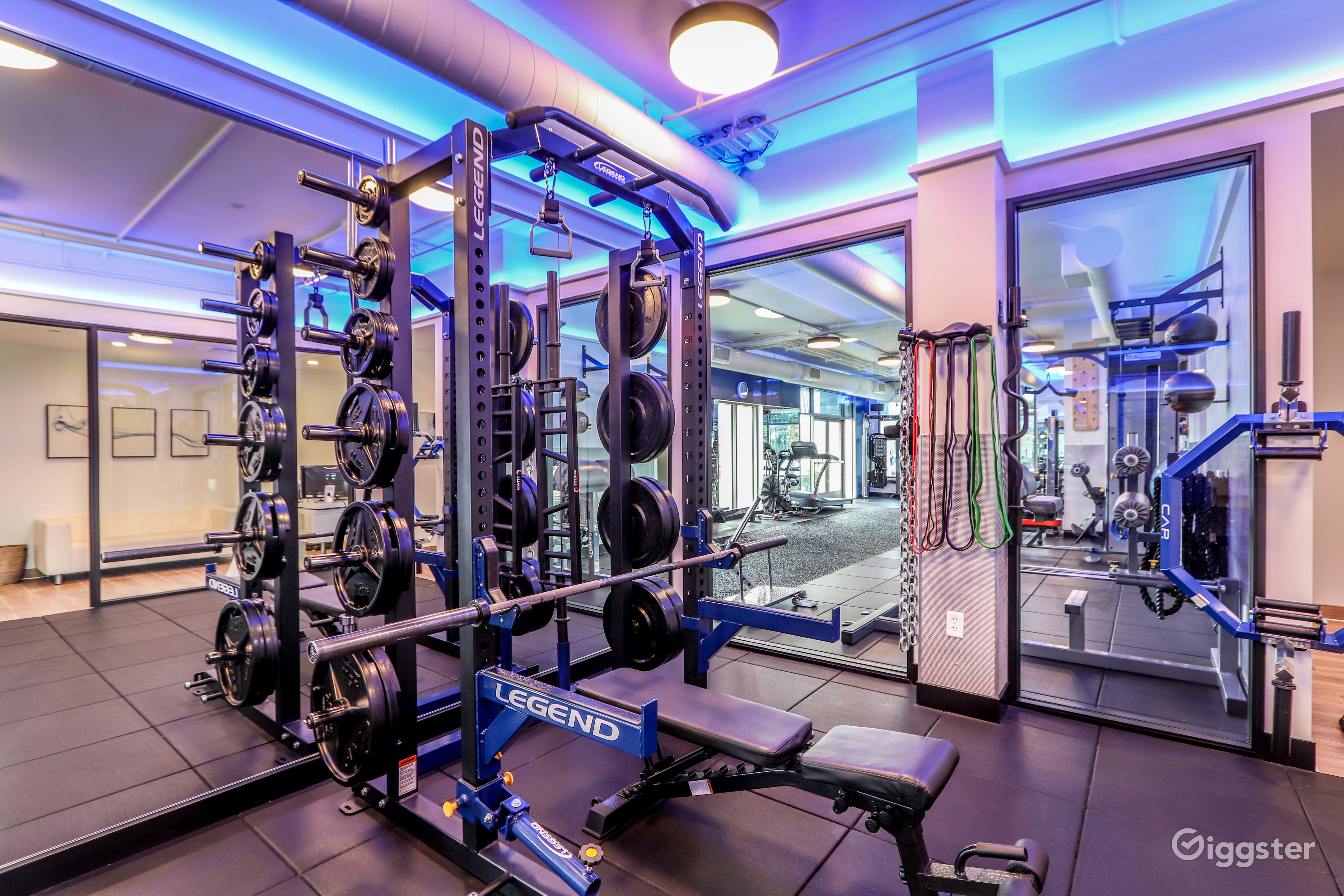Executive Private Fitness Facility | Rent this location on Giggster