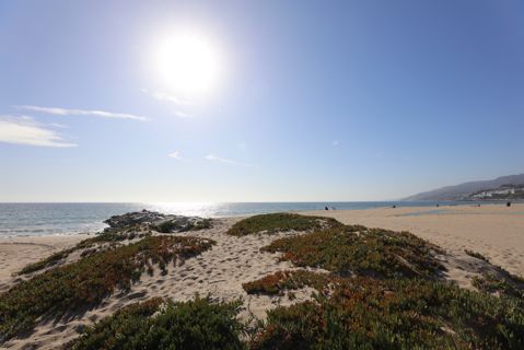 Will Rogers State Beach | Lifeguard Towers  6-7 Photo 40