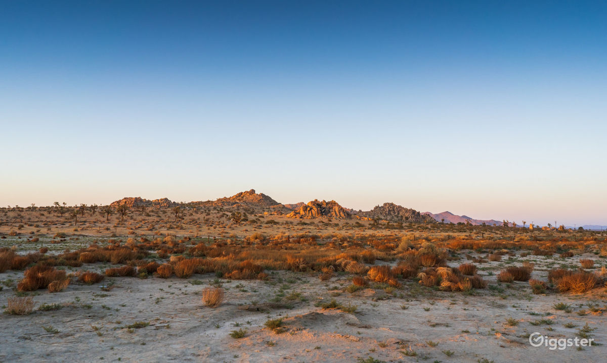 10Acre Flat Desert Land with Parking Rent this location on Giggster