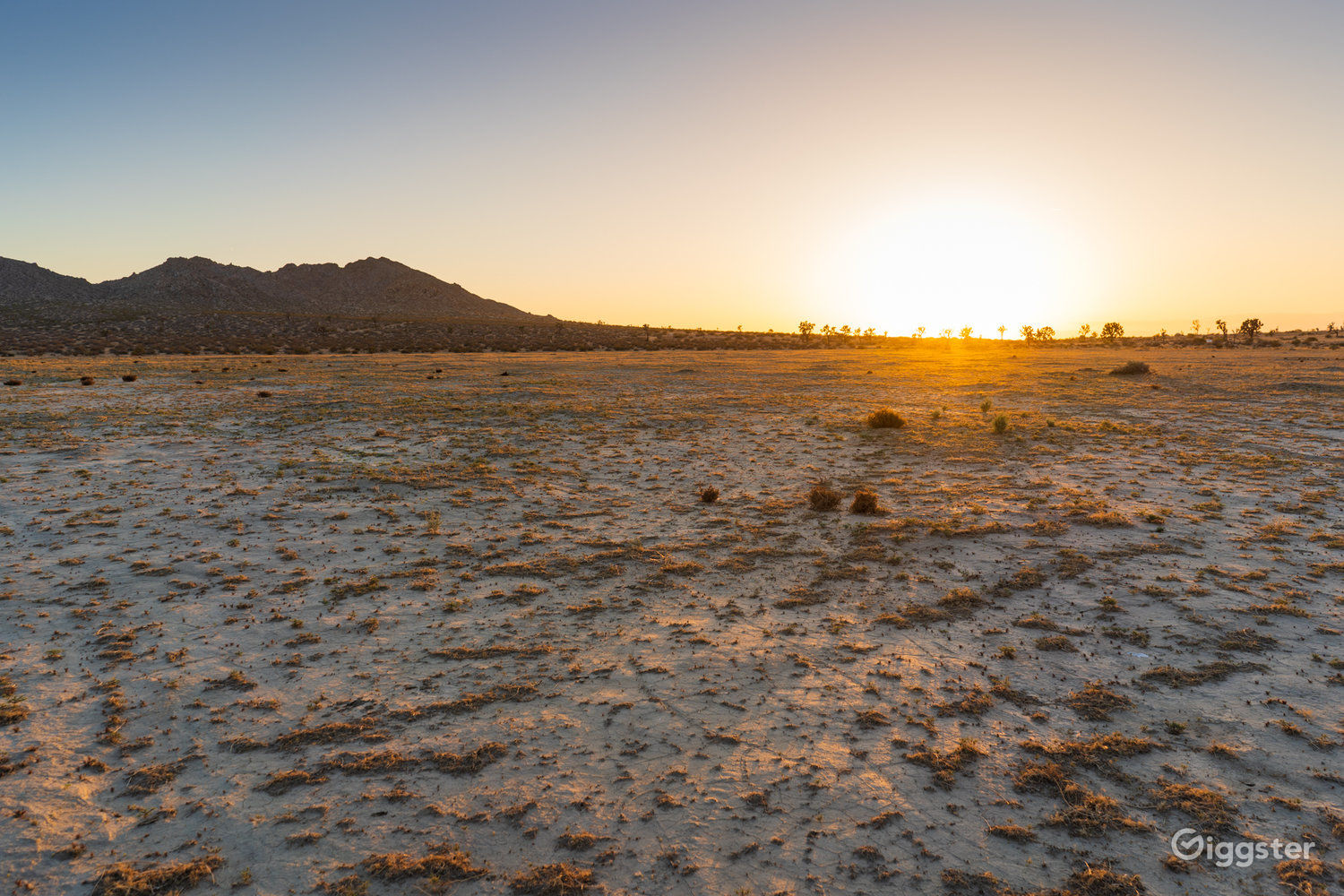 Pristine Desert Location with Parking Rent this location on Giggster