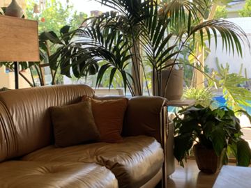 Mid-Century // 70's Southern California Pool Home 