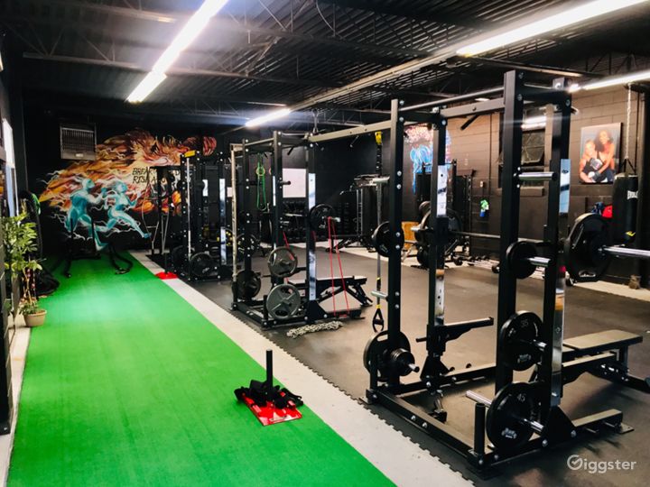 HAMILTON’S TOP ATHLETIC PERFORMANCE GYM FACILITY (BUYOUT) Rent this