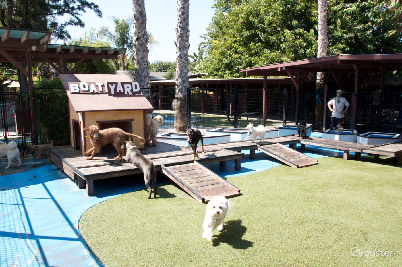 Pet Ranch with several pools and Spanish style Rent this location on