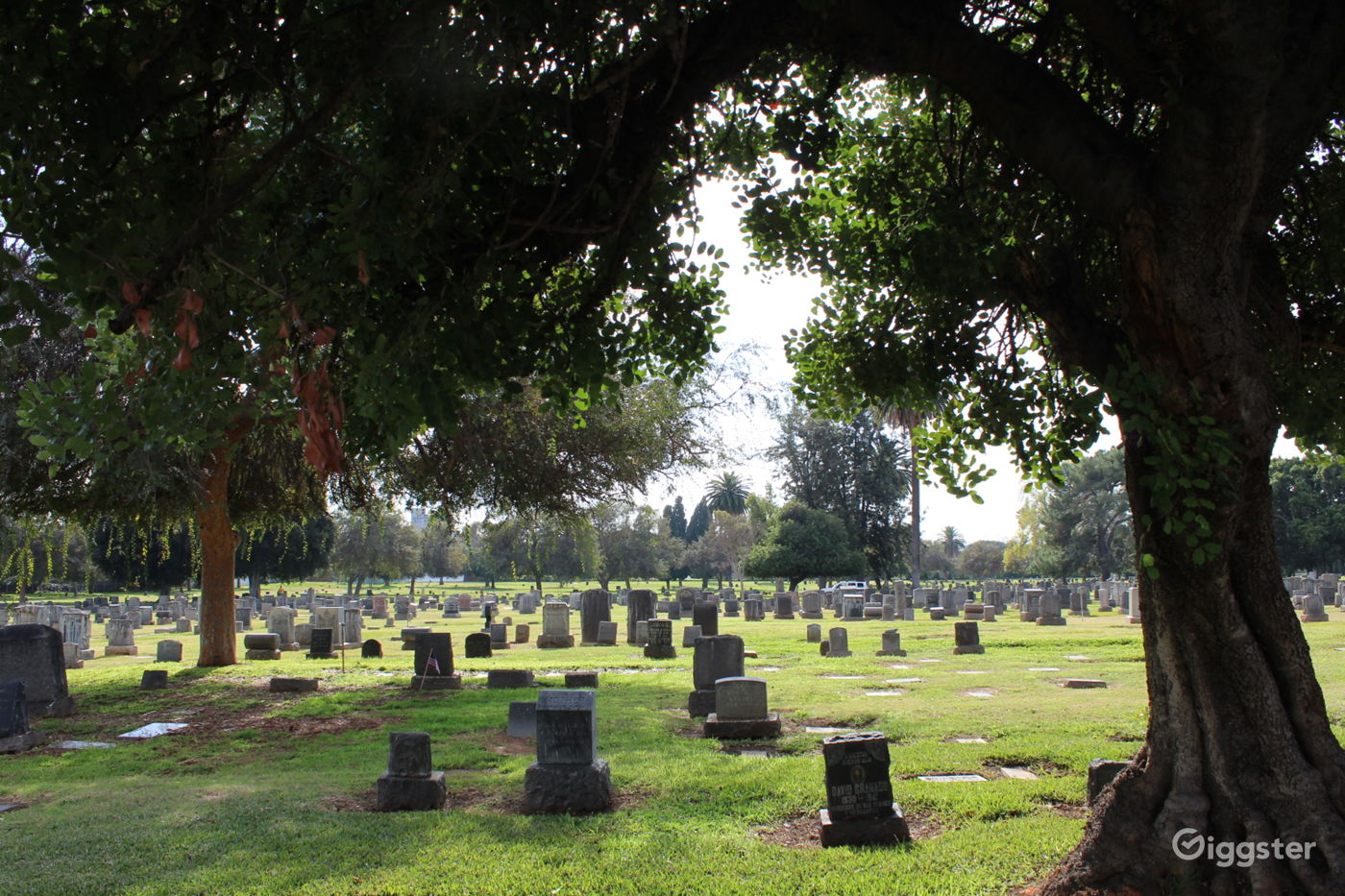 Odd Fellows Cemetery Rent this location on Giggster