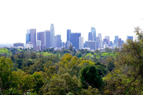 Elysian Park Photo 2