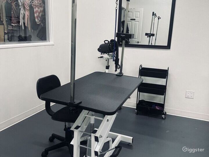 Dog Grooming Studio Rent this location on Giggster