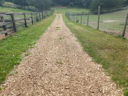 Charming Historic Alpaca Farm | Rent this location on Giggster