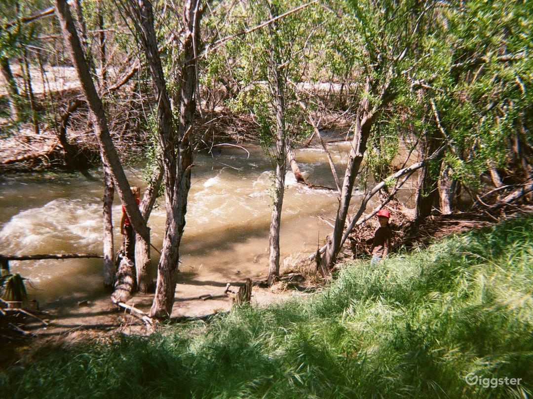 Rushing Creek (winter)