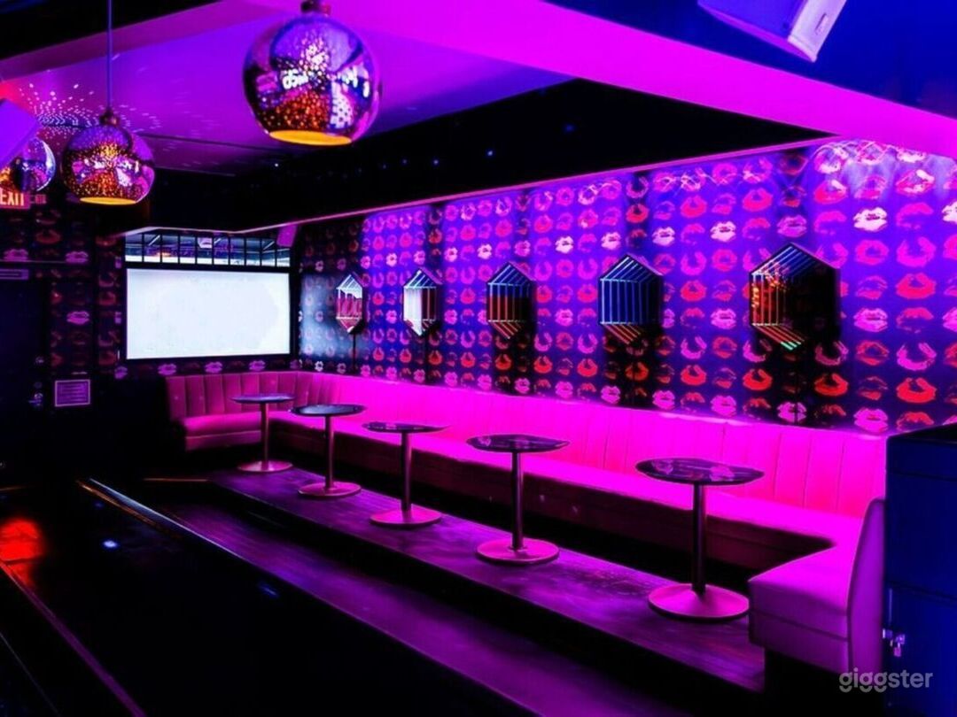  A Retro Disco Nightclub Photo 4