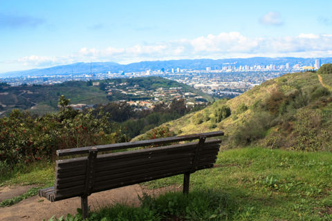 Kenneth Hahn State Recreation Area  Photo 9