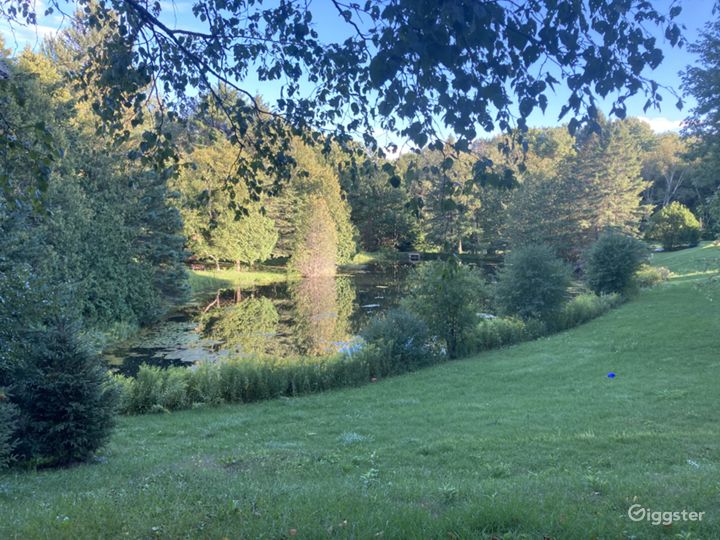 Stone House, Private Pond &amp; Mature Forest Photo 3