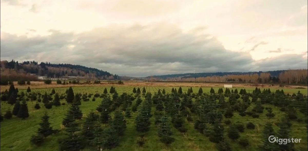 Christmas Tree Farm in Redmond Rent this location on Giggster