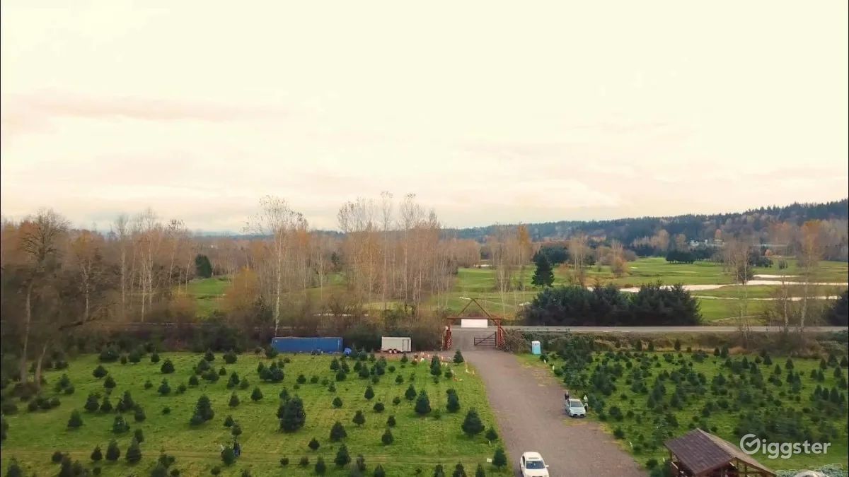 Christmas Tree Farm in Redmond Rent this location on Giggster