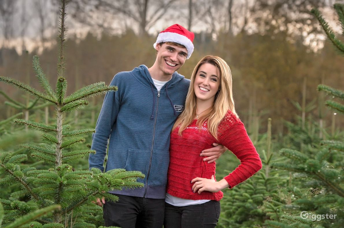 Christmas Tree Farm in Redmond Rent this location on Giggster