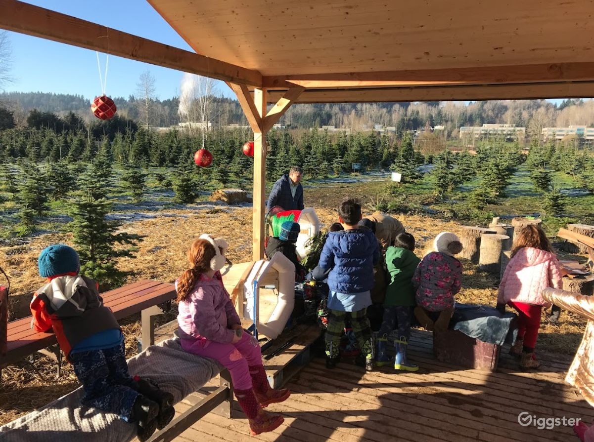 Christmas Tree Farm in Redmond Rent this location on Giggster
