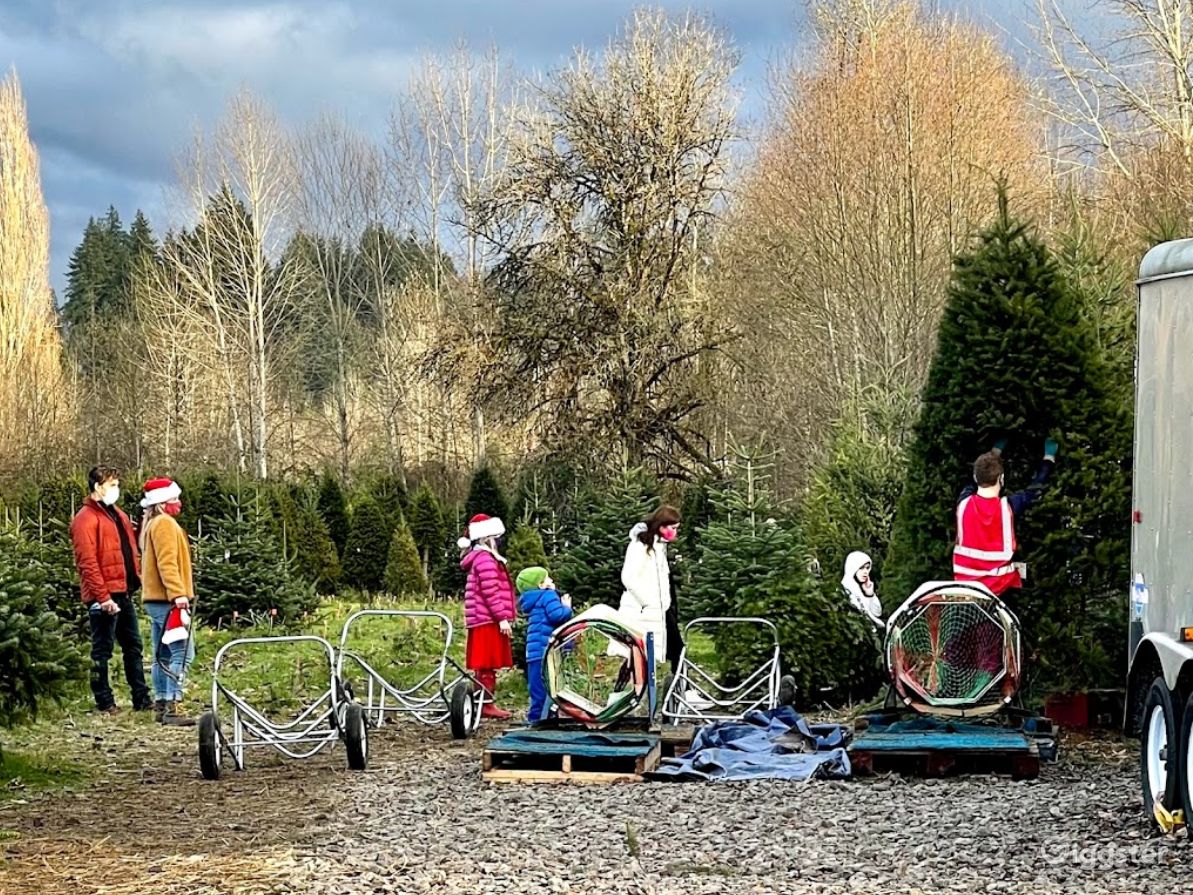 Christmas Tree Farm in Redmond Rent this location on Giggster