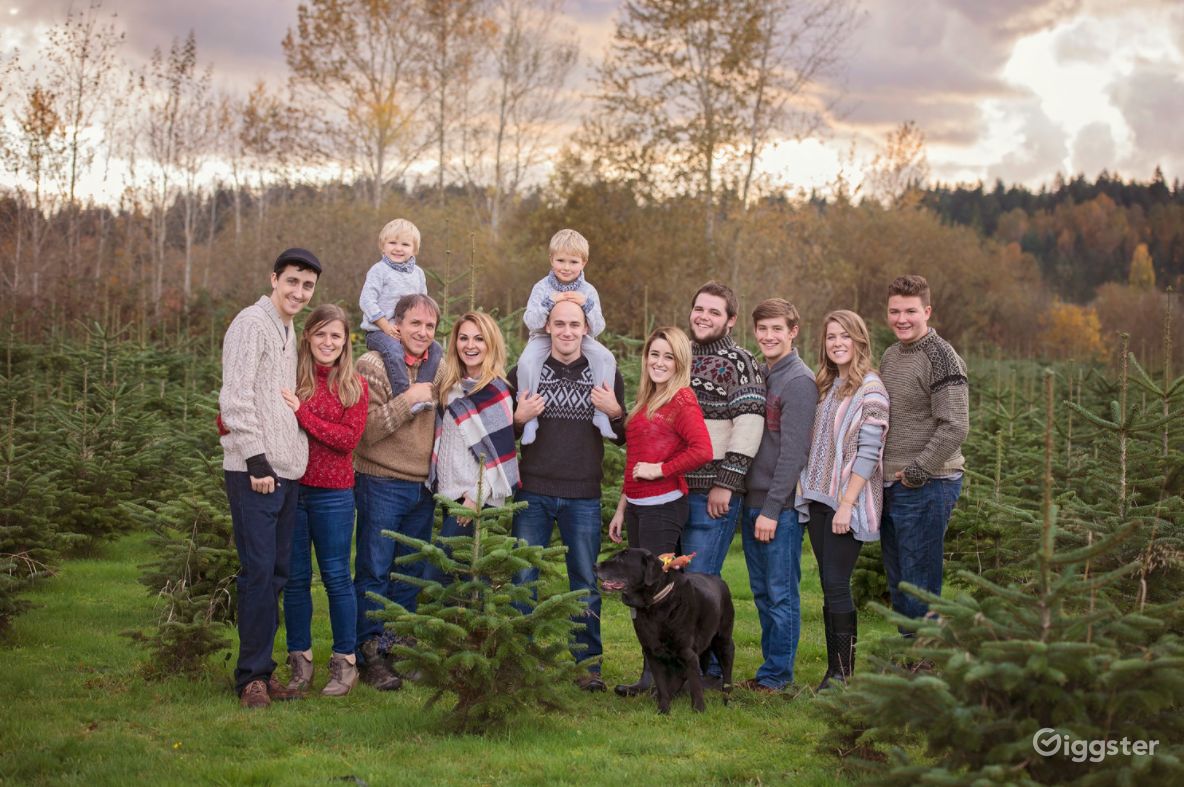 Christmas Tree Farm in Redmond Rent this location on Giggster