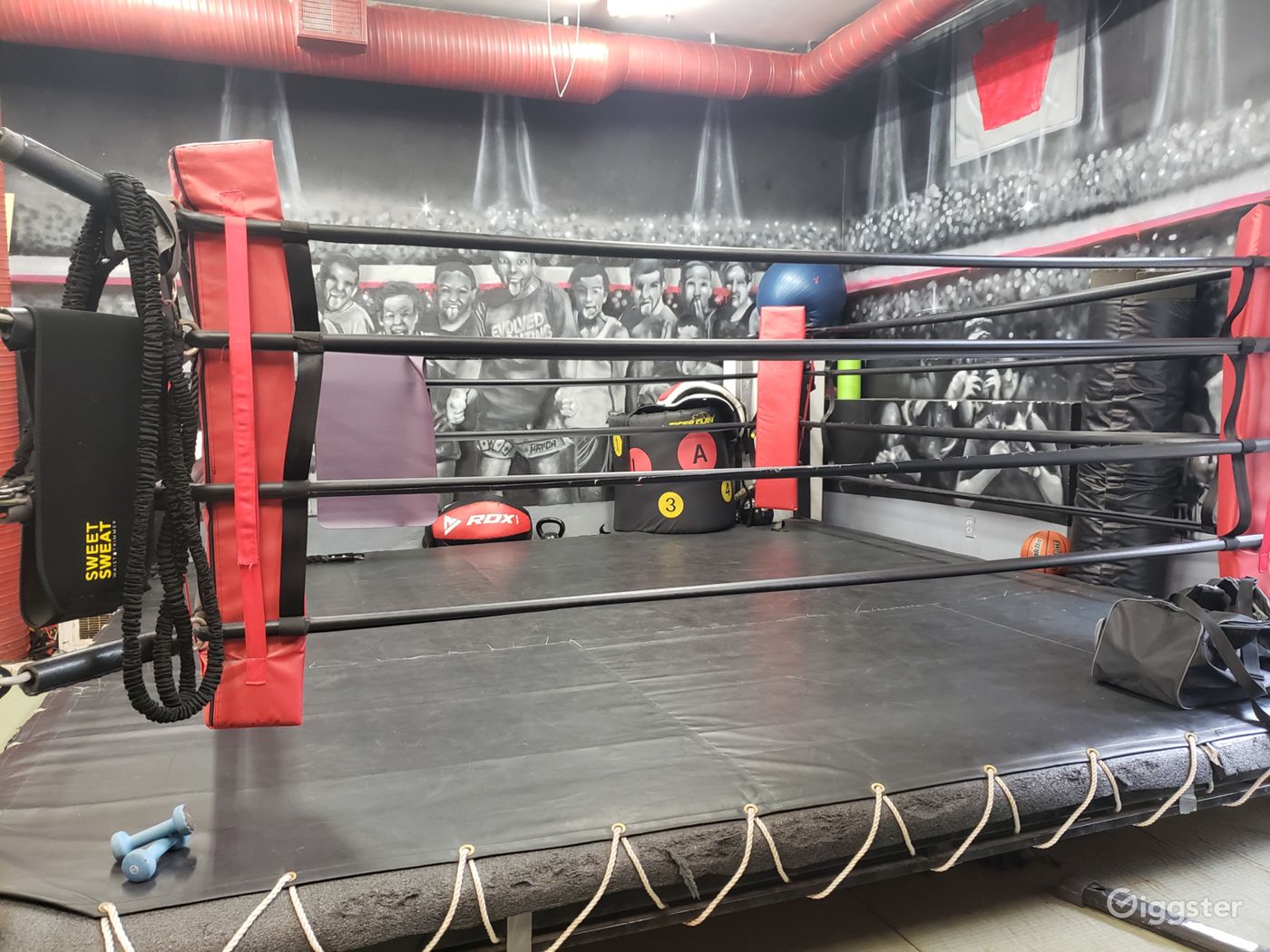 Industrial Boxing Gym in Urban Location in Philadelphia Rent this