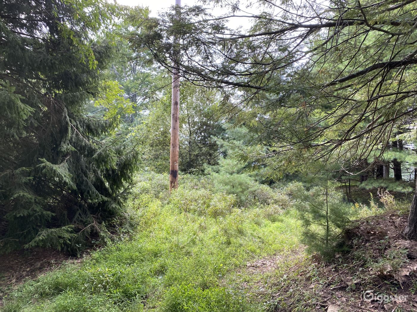 Upstate NY Mountain Top View Land Rent this location on Giggster