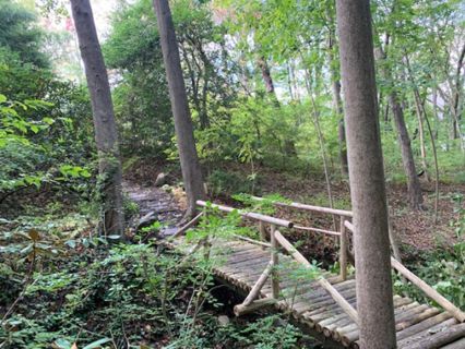 Japanese inspired gardens: Location 5236 | Rent this location on Giggster