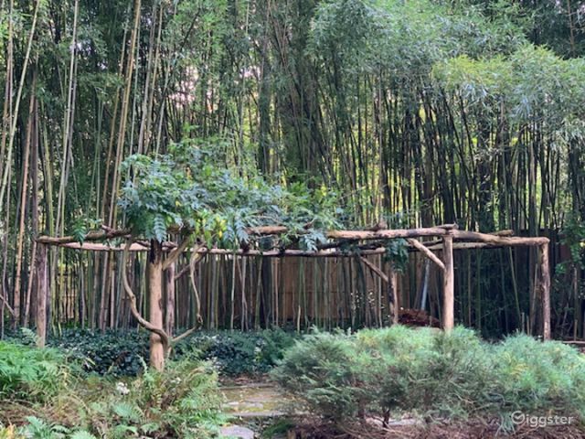 Japanese inspired gardens: Location 5236 | Rent this location on Giggster