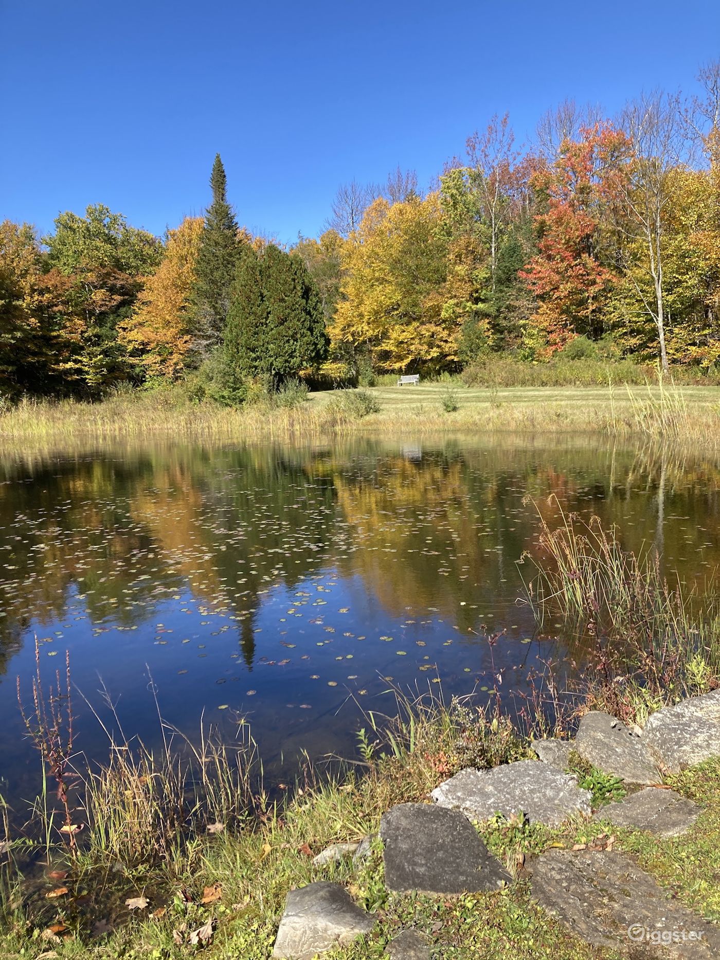 Bear Pond Rent this location on Giggster