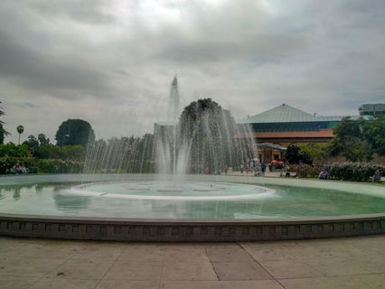 Exposition Park Rose Garden Photo 2