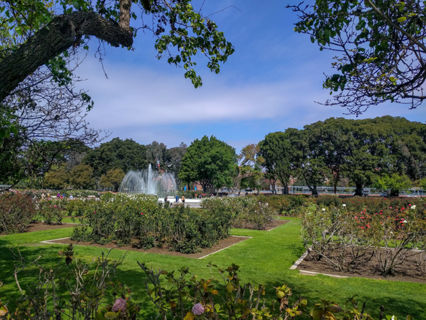 Exposition Park Rose Garden Photo 3