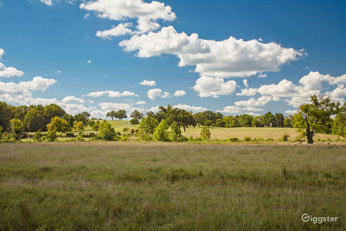 Working Cattle Ranch in Choctaw County Rent this location on Giggster