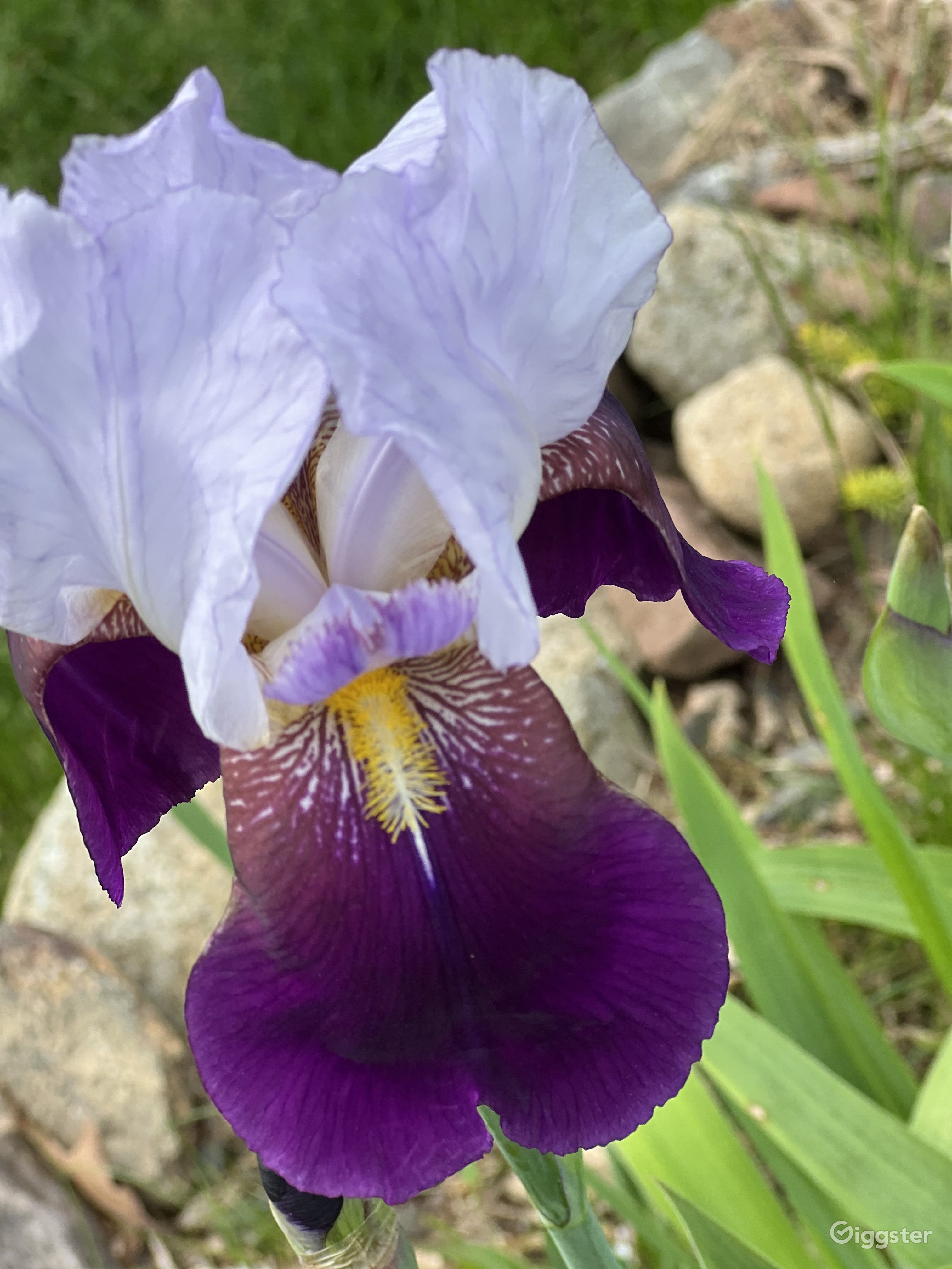 Serene Lakefront Jewel House Rent this location on Giggster