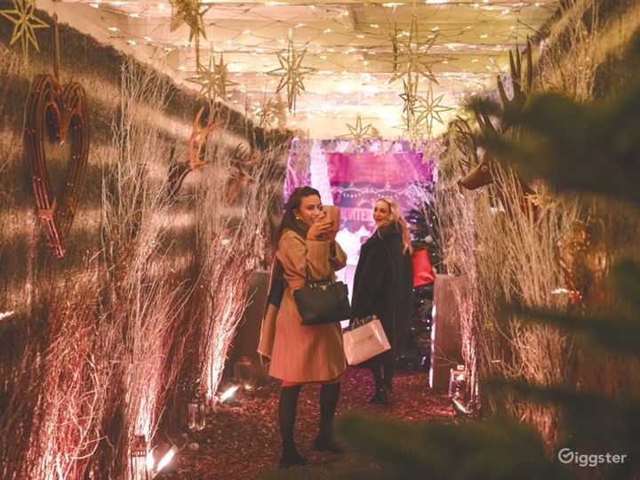 Alpine Ski Lodge in London Rent this location on Giggster