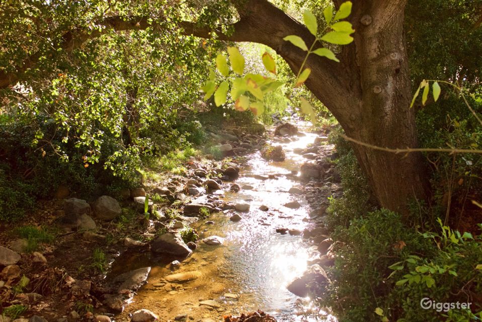 Vineyard and Winery House in Dulzura Rent this location on Giggster