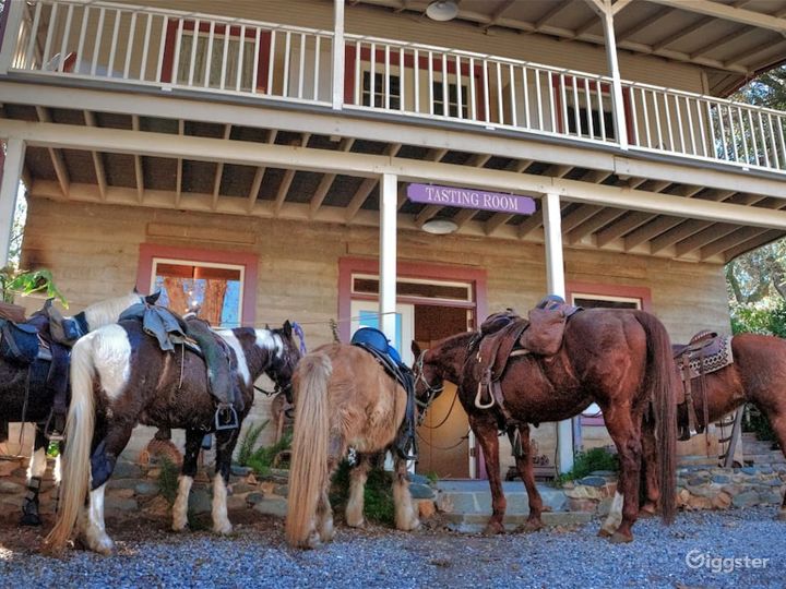 Vineyard and Winery House in Dulzura Rent this location on Giggster