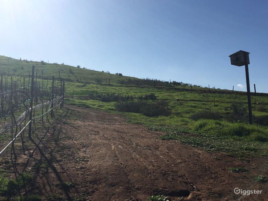 Vineyard and Winery House in Dulzura Rent this location on Giggster