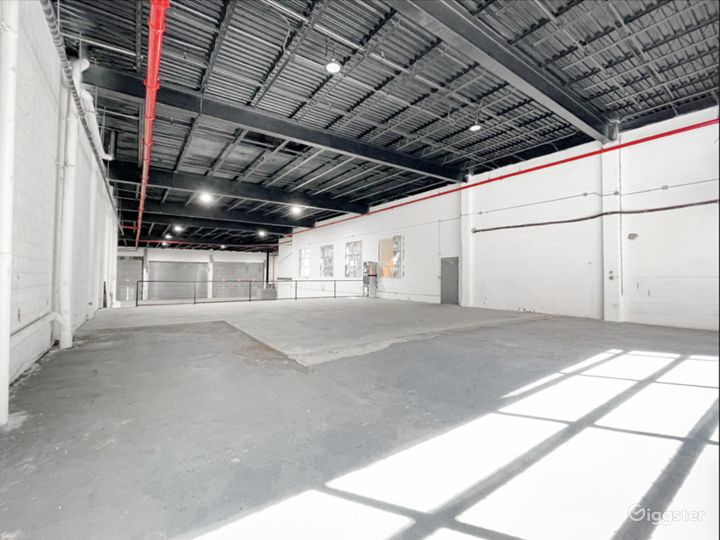  Shapira&#x27;s Great Warehouse Photo 3