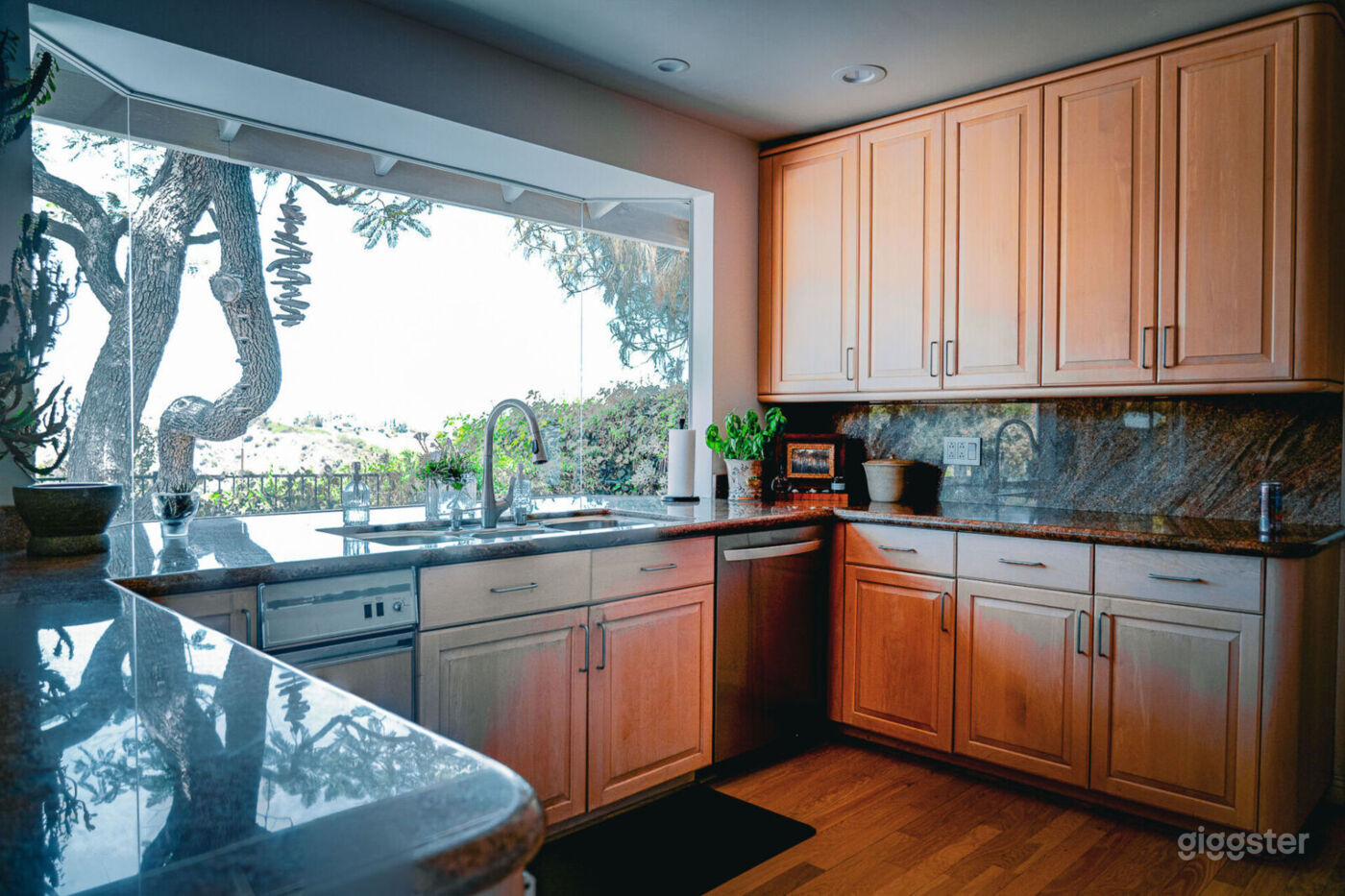 Canyon Oasis in Tarzana Photo 2