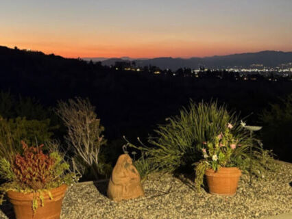 Canyon Oasis in Tarzana Photo 6